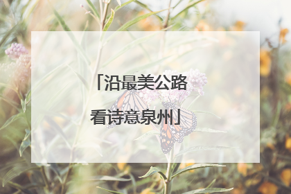 沿最美公路 看诗意泉州