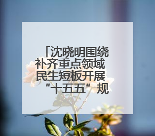 沈晓明围绕补齐重点领域民生短板开展“十五五”规划专题调研