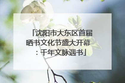 沈阳市大东区首届晒书文化节盛大开幕：千年文脉遇书