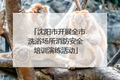 沈阳市开展全市洗浴场所消防安全培训演练活动