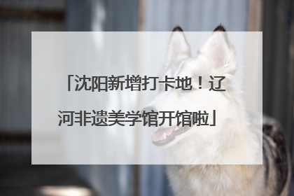 沈阳新增打卡地！辽河非遗美学馆开馆啦
