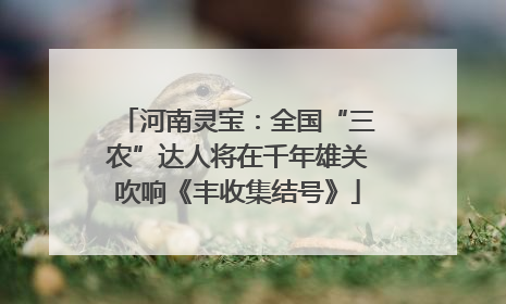 河南灵宝：全国“三农”达人将在千年雄关吹响《丰收集结号》