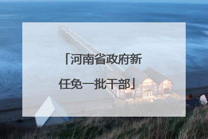 河南省政府新任免一批干部