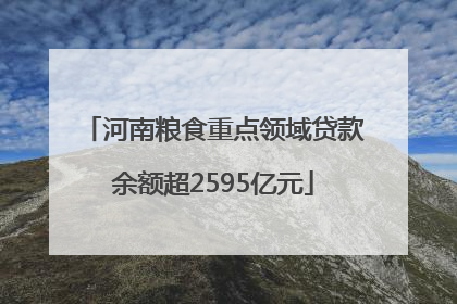 河南粮食重点领域贷款余额超2595亿元