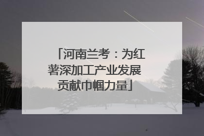 河南兰考：为红薯深加工产业发展贡献巾帼力量