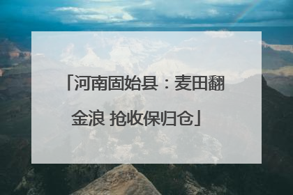 河南固始县：麦田翻金浪 抢收保归仓