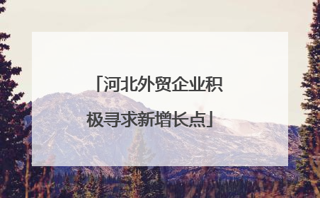 河北外贸企业积极寻求新增长点