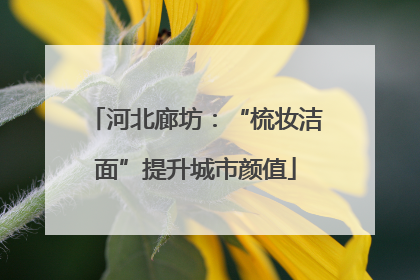 河北廊坊：“梳妆洁面”提升城市颜值