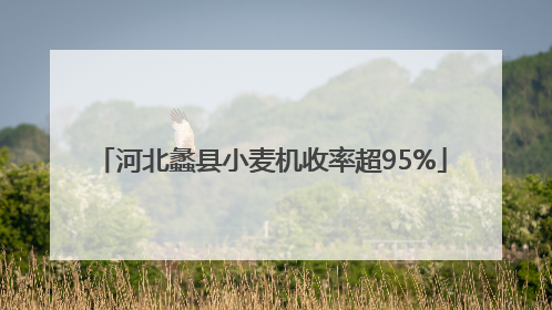 河北蠡县小麦机收率超95%