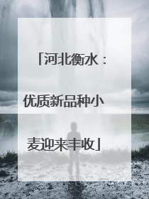 河北衡水：优质新品种小麦迎来丰收