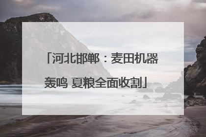 河北邯郸：麦田机器轰鸣 夏粮全面收割