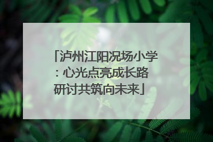 泸州江阳况场小学：心光点亮成长路 研讨共筑向未来