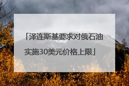 泽连斯基要求对俄石油实施30美元价格上限