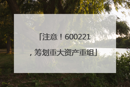 注意！600221，筹划重大资产重组