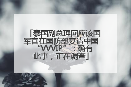 泰国副总理回应该国军官在国防部宴请中国“VVVIP”：确有此事，正在调查