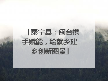 泰宁县：闽台携手赋能，绘就乡建乡创新图景