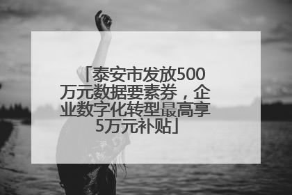 泰安市发放500万元数据要素券，企业数字化转型最高享5万元补贴