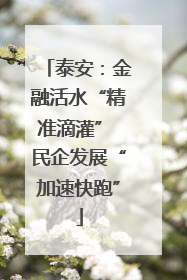泰安：金融活水“精准滴灌” 民企发展“加速快跑”