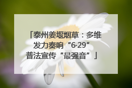 泰州姜堰烟草：多维发力奏响“6·29”普法宣传“最强音”