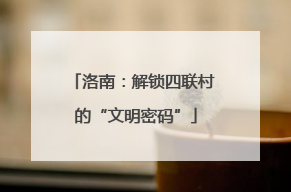 洛南：解锁四联村的“文明密码”