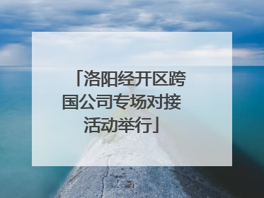 洛阳经开区跨国公司专场对接活动举行