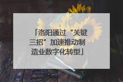 洛阳通过“关键三招”加速推动制造业数字化转型