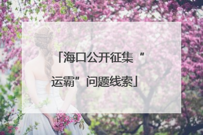海口公开征集“运霸”问题线索