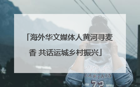 海外华文媒体人黄河寻麦香 共话运城乡村振兴