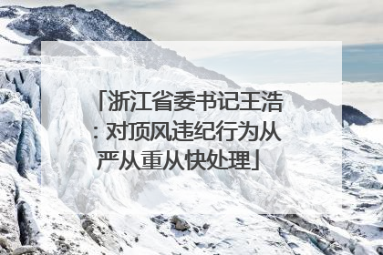 浙江省委书记王浩：对顶风违纪行为从严从重从快处理