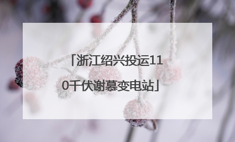 浙江绍兴投运110千伏谢慕变电站