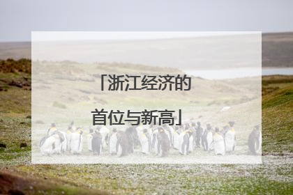浙江经济的首位与新高