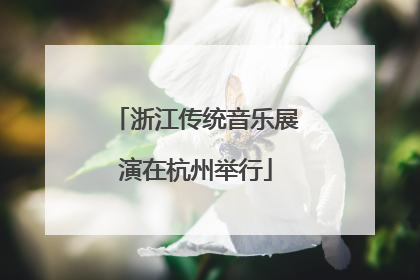 浙江传统音乐展演在杭州举行