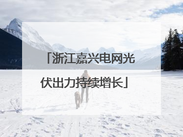 浙江嘉兴电网光伏出力持续增长