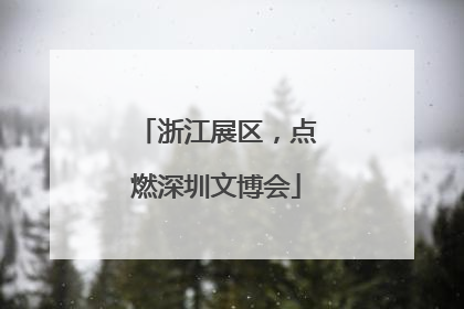 浙江展区，点燃深圳文博会