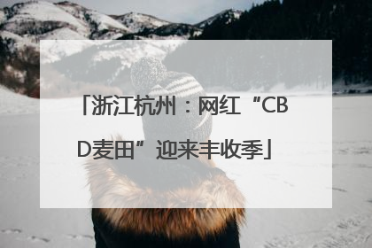 浙江杭州：网红“CBD麦田”迎来丰收季