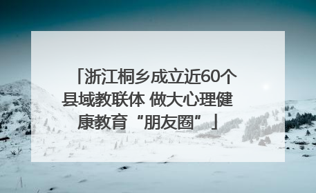 浙江桐乡成立近60个县域教联体 做大心理健康教育“朋友圈”