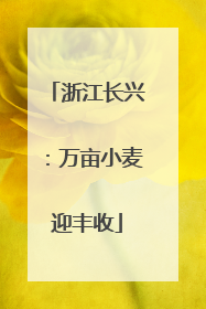 浙江长兴：万亩小麦迎丰收