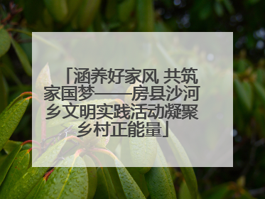 涵养好家风 共筑家国梦——房县沙河乡文明实践活动凝聚乡村正能量