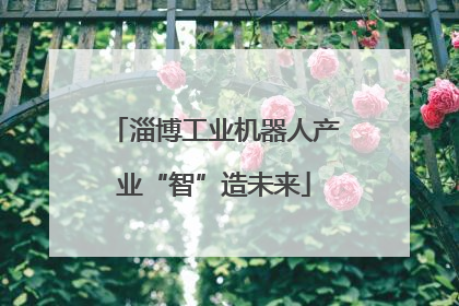 淄博工业机器人产业“智”造未来
