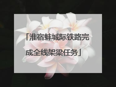 淮宿蚌城际铁路完成全线架梁任务