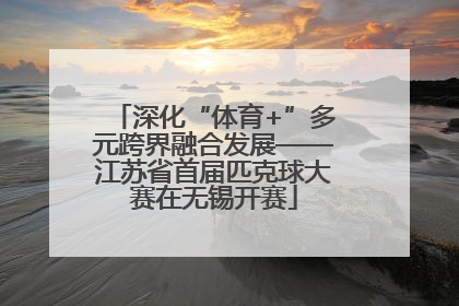 深化“体育+”多元跨界融合发展——江苏省首届匹克球大赛在无锡开赛