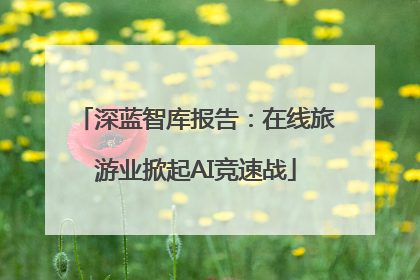 深蓝智库报告：在线旅游业掀起AI竞速战