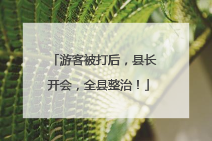 游客被打后，县长开会，全县整治！