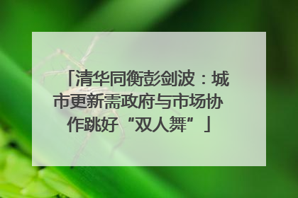 清华同衡彭剑波：城市更新需政府与市场协作跳好“双人舞”