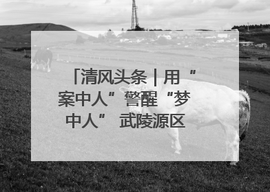 清风头条｜用“案中人”警醒“梦中人” 武陵源区百名干部“零距离”接受警示教育