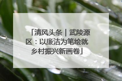 清风头条｜武陵源区：以廉洁为笔绘就乡村振兴新画卷