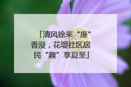 清风徐来“廉”香漫，花堤社区居民“趣”享夏至
