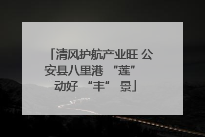 清风护航产业旺 公安县八里港 “莲” 动好 “丰” 景