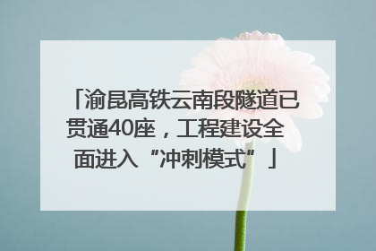 渝昆高铁云南段隧道已贯通40座，工程建设全面进入“冲刺模式”
