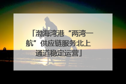 渤海湾港“两湾一航”供应链服务北上通道稳定运营